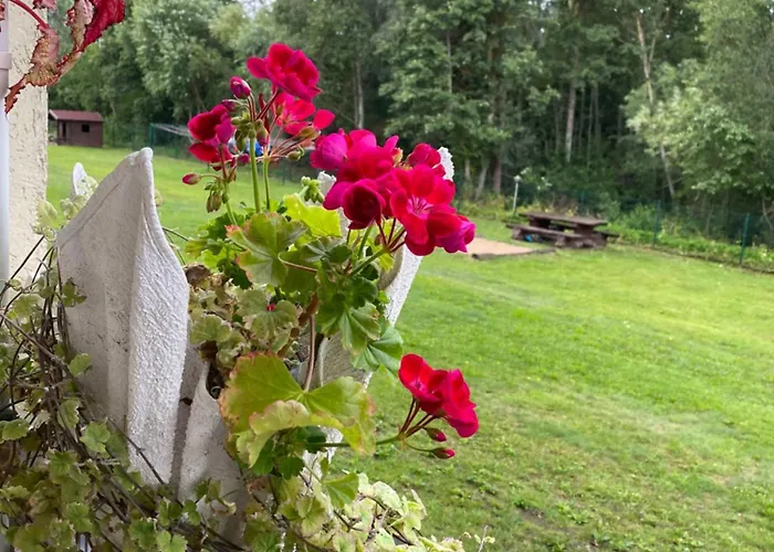 Oja 134 Апартаменты